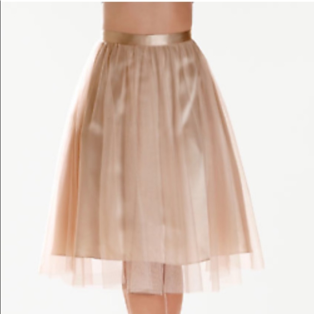 Boston Proper Black Tulle A-Line Skirt size M